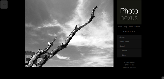 Photo Nexus WordPress Photography Theme