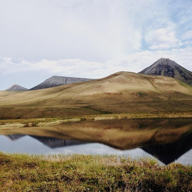 Tombstone Territorial Park - another great shot by @alexstrohl.