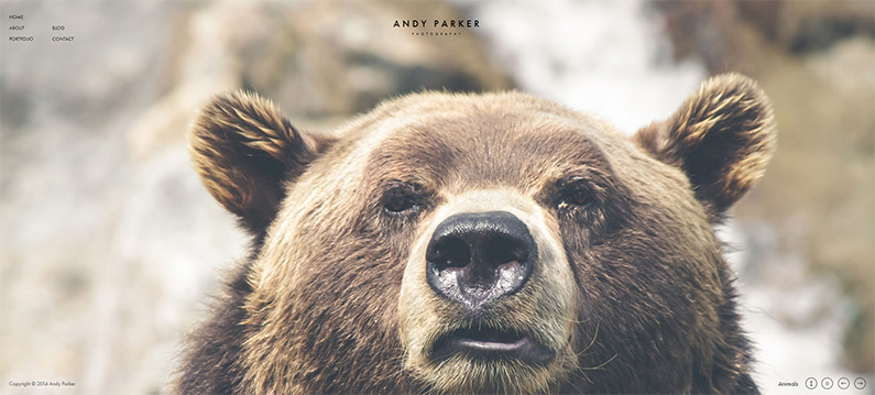 WordPress theme for photographers - Andy Parker Theme